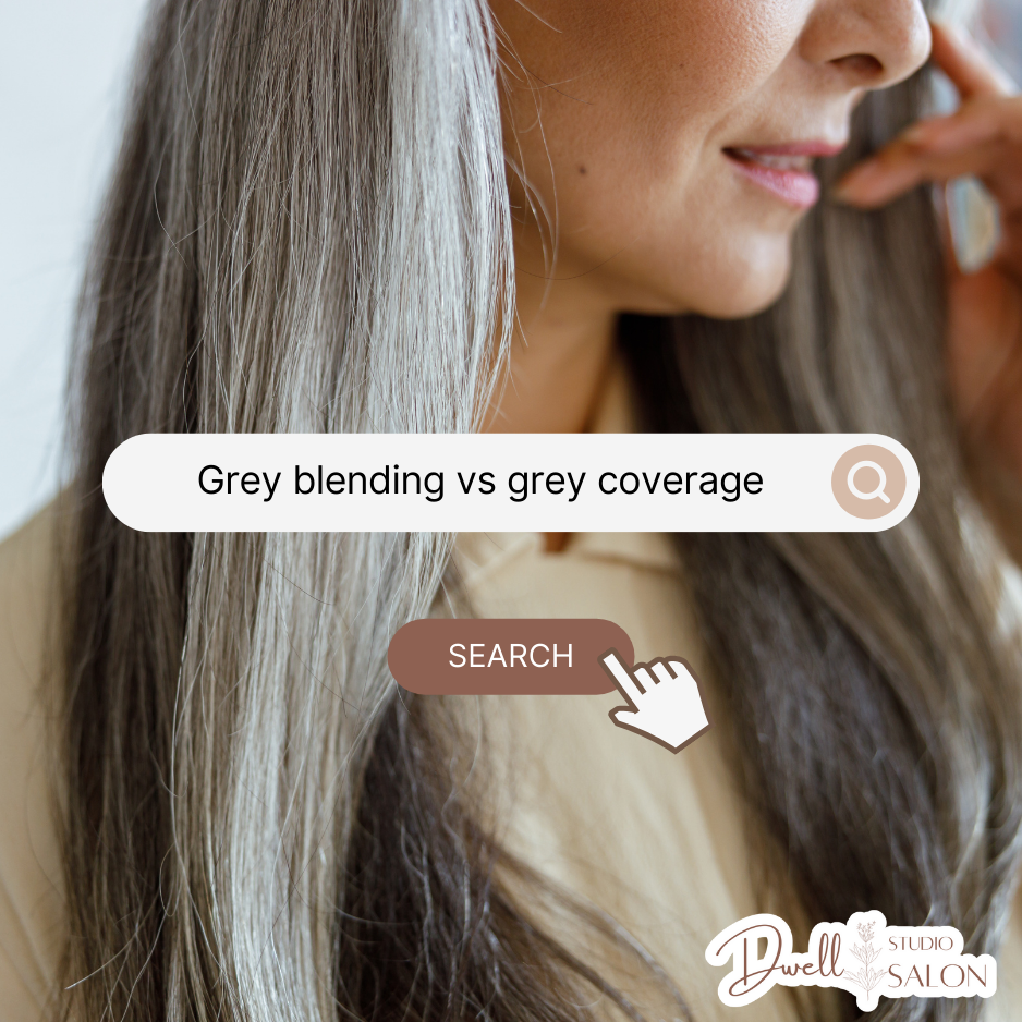 Close-up of a woman with long grey-blended hair featuring a search bar graphic asking "Grey blending vs grey coverage" by Dwell Studio Salon.