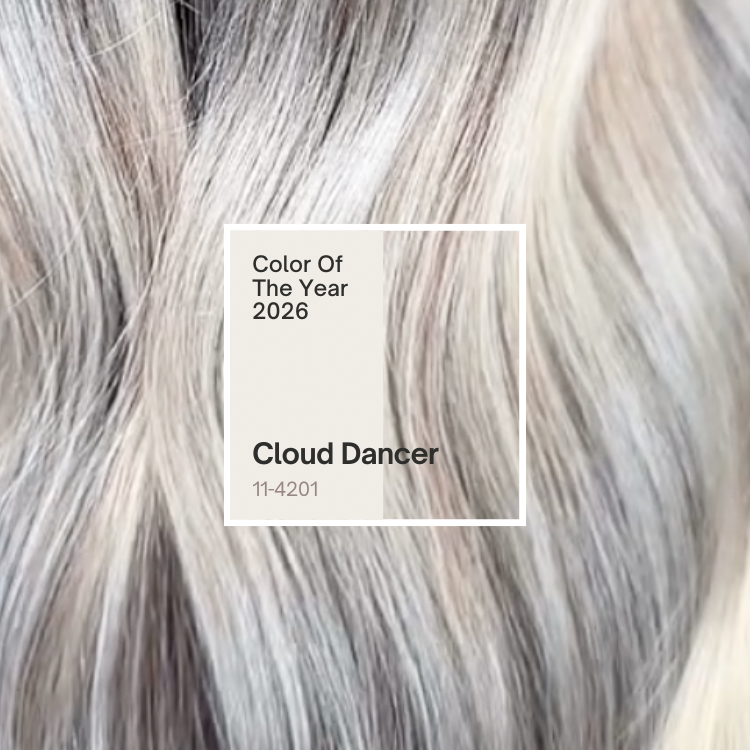 Close-up of silver-blonde ash hair color with a Pantone swatch showing Cloud Dancer Color of the Year 2026