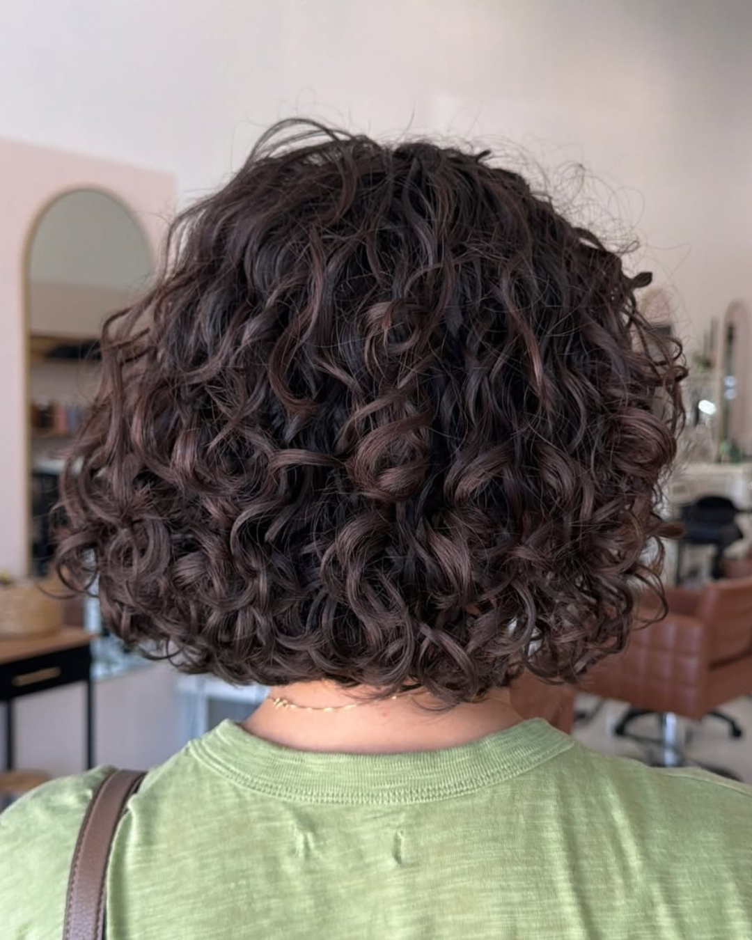 Back view of defined brunette curly bob hairstyle reaching the nape of the neck by Angela.
